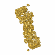Cryo-EM density emdb-2165 used for flexible fitting with MDFF 