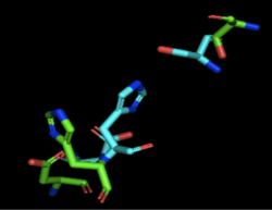 Figure 2: Alignment of 4Q7Q's putative catalytic triad (shown in green) and 3LIP's catalytic triad (shown in blue). The RMS is 2.257.