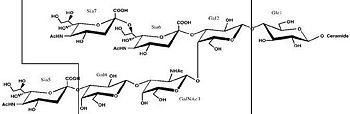 Ganglioside GT1-b.