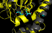 Figure 11. Ag85C-H260Q active site.  A shift in helix α-9 prevents formation of any stabilizing hydrogen bonds between residues His260 and Glu228, thus decreasing its enzymatic activity.