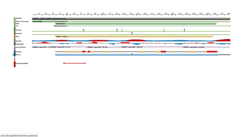 Image:Linear structure of PRSS57.png