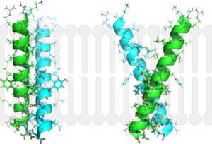 Figure 2: Monomeric ribbon diagram of MbtI with active site cleft highlighted with a white circle. Generated from 3log (3a)
