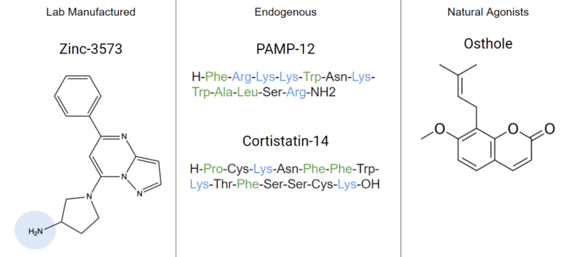 Image:Agonists.png