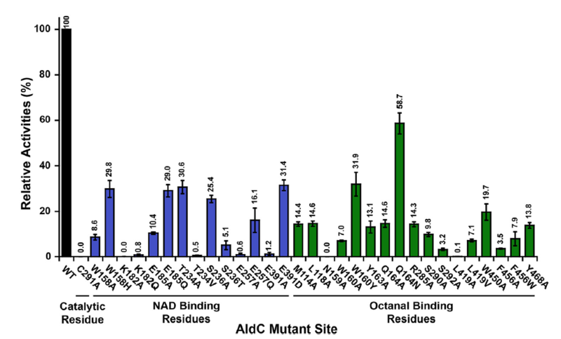Image:AldC Mutant Site.PNG