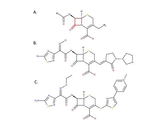 Figure 4. Chemical structure of anti-MRSA cephalosporins. A. Chemical structure of the cephalosporin backbone. Cephalosporins are beta-lactam antibiotics that have a core backbone that includes a beta-lactam ring (red). There are many different cephalosporins, all of which have different antimicrobial activities and chemical properties. The differences between the cephalosporins is due to differences in the R1 and R2 groups. B. Chemical structure of ceftobiprole. C. Chemical structure of ceftaroline.