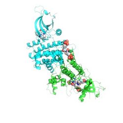 Not, "just another kinase". Picture from Protein Data Bank.
