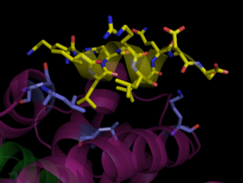 Human PPARγ Co-Activator Binding Site. PPARγ  bound to SRC-1, 3dzy