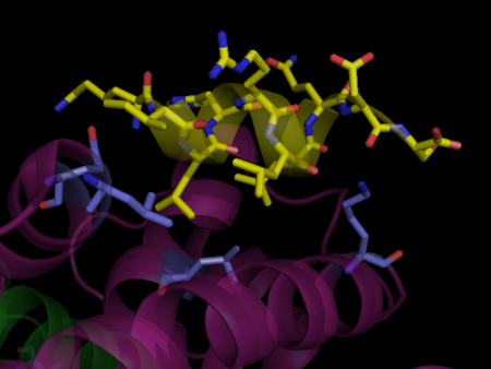 Human PPARγ Co-Activator Binding Site. PPARγ  bound to SRC-1, 3dzy