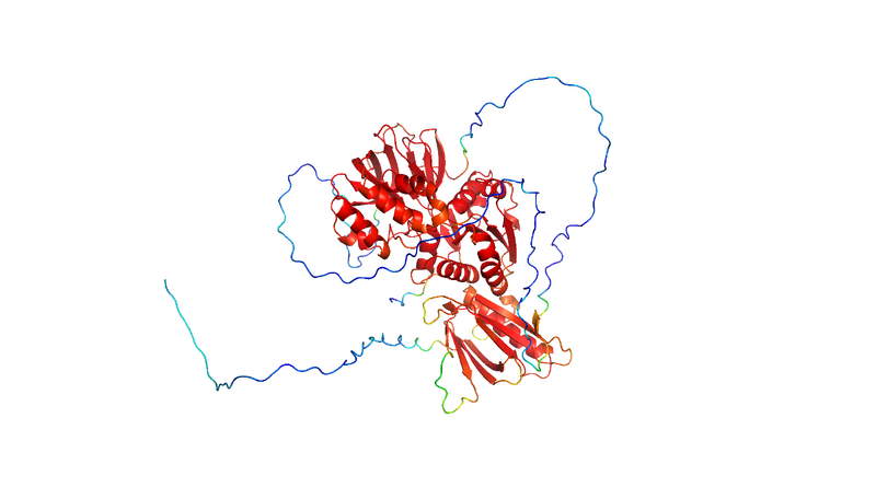 Image:SphK2 PD B-factor.png