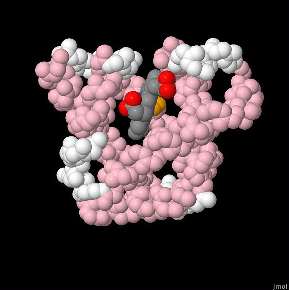 Image:1MBO oxymyo-3.jpg