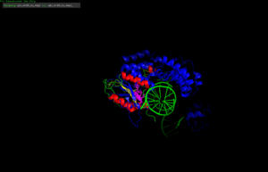Alignment of the psNUC structure with the PaFAN1. The conserved residues from the VRR-Nuc domains of both proteins are marked in pink and present congruent positioning.