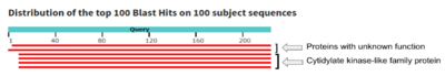 Query hits 1-2 show proteins with unknown function while 3-6 match a cytidylate kinase-like family protein.