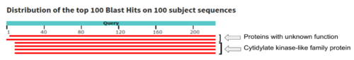 Query hits 1-2 show proteins with unknown function while 3-6 match a cytidylate kinase-like family protein.