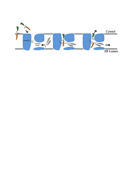 Image:Note Apr 19, 2021.jpg