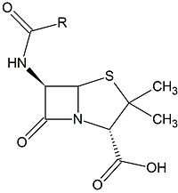 A β-lactam antibiotic (Penicillin)