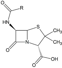 A β-lactam antibiotic (Penicillin)
