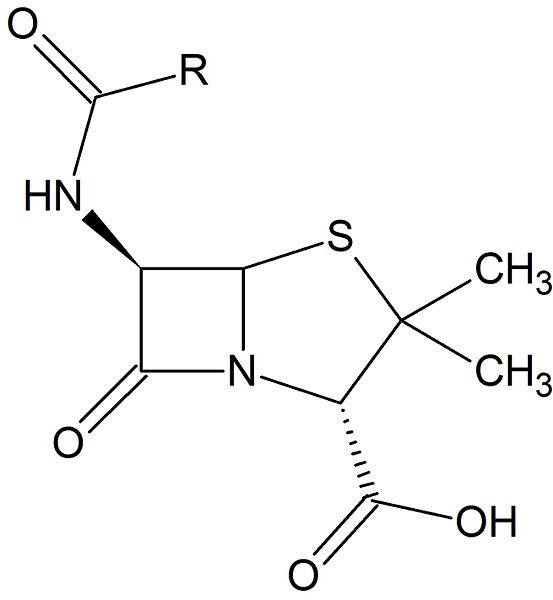 Image:Beta-lactam.jpg