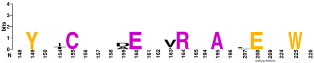 Seven strictly conserved residues of five known functional MgtC orthologs of the soluble C-terminal domain.
