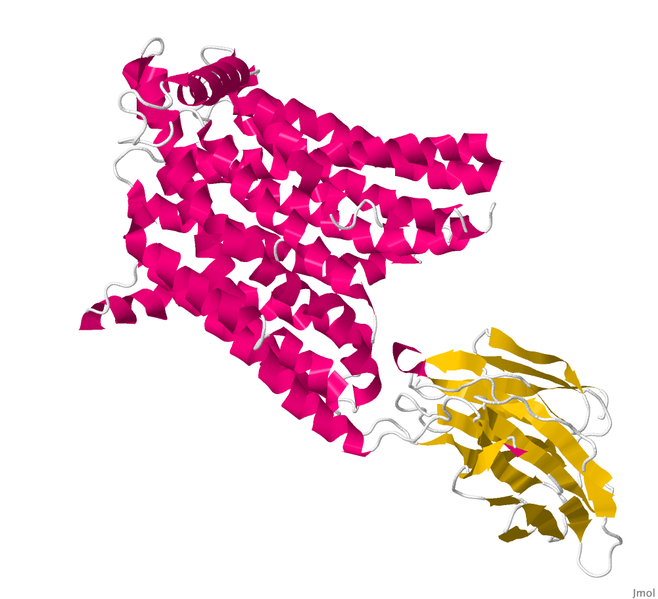 Image:Morph white.png