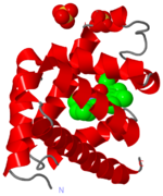 Crystal Structure of myoglobin, 1a6m