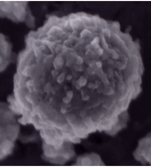 Casein micelle image from Dalgleish, D. G., P. Spagnuolo and H. D. Goff. 2004. A possible structure of the casein micelle based on high-resolution field-emission scanning electron microscopy. International Dairy Journal. 14: 1025-1031. This micelle is 120 nm in diameter.