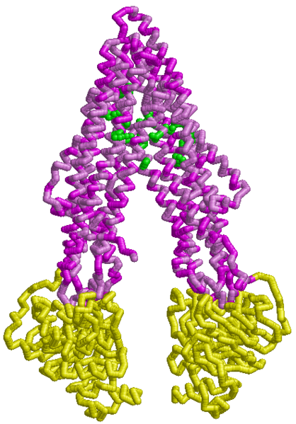 Image:Pgp frontview.png