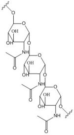 poly-β-1,6-N-acetylglucosamine