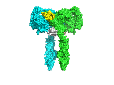 Figure 1. The Coolest Image of this Protein!
