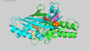 Figure1 Ohr homodimer