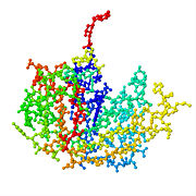 RNase B
