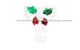 Figure 4: The presence of all four potential binding sides on the active insulin receptor: sites 1 and 1' (green) and sites 2, and 2'(red). PDB 6SOF