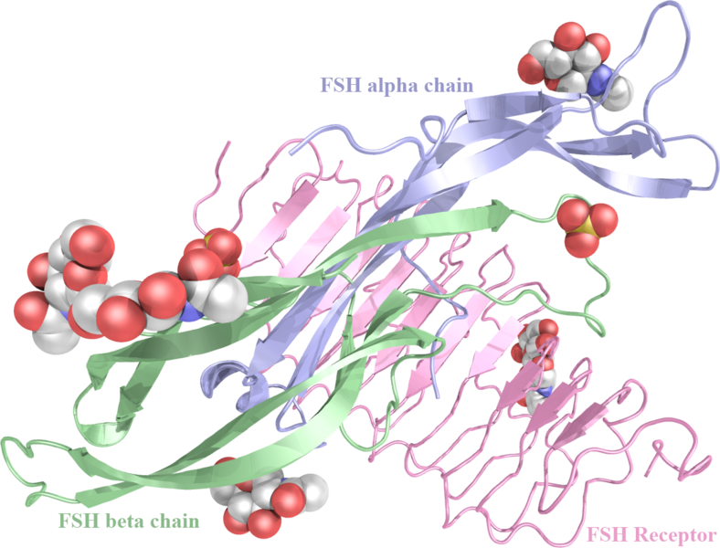 Image:1xwd polyview3d.png