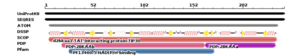 Image 1. The binding sites of TIP30 as identified using PYMOL.