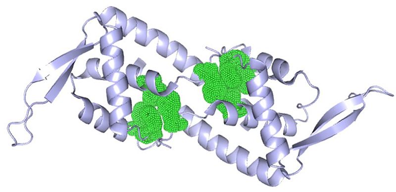 Image:Hydrophobic residues in RTP.jpg
