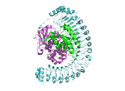 Figure 1. The coolest image of this protein EVAH!!!