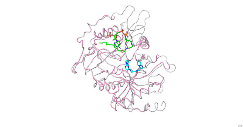 Image:Fig 1c.pngj