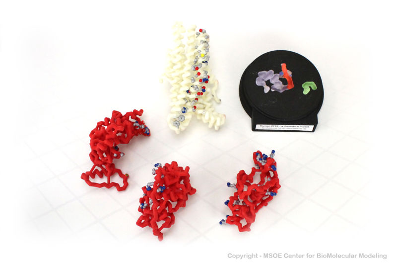 Image:Cftr2 centerForBioMolecularModeling.jpg