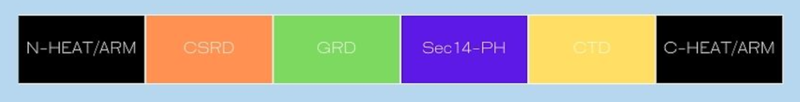 Image:Nf domains.png