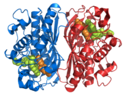 Figure 2. Thymidylate Synthase