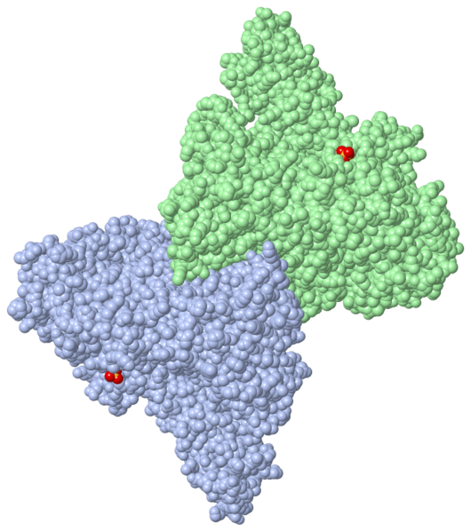 Image:2eyq.png