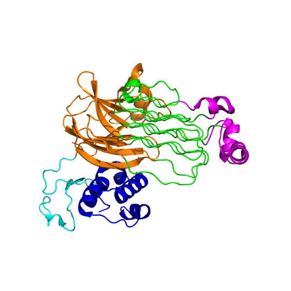 Image:Conformational change everything.png