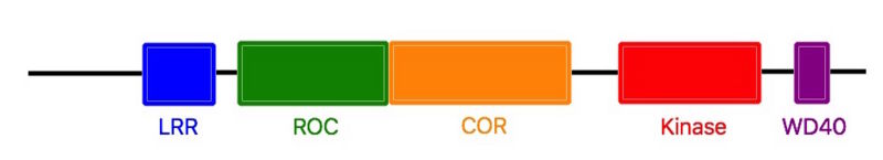 Image:Roco4.jpg