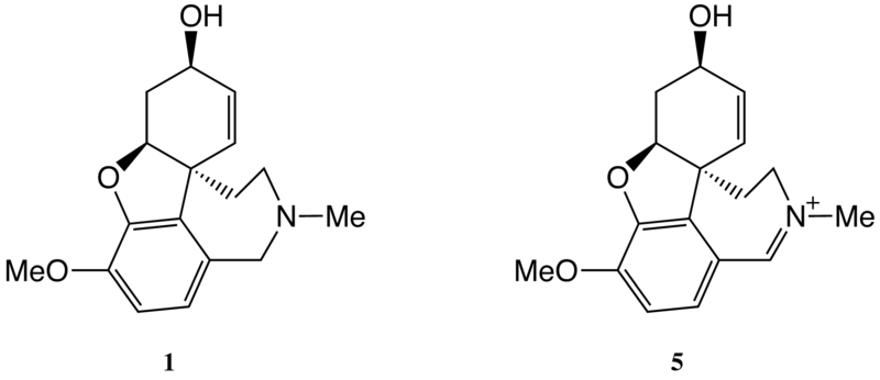 Image:1and5.png
