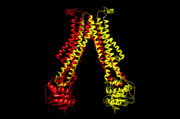 5c76, outward-open conformation