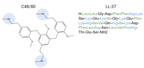 Figure 6. Endogenous MRGPRX2 ligands with positive regions in blue and hydrophobic regions in green. C48/80 and LL-37 are both released by the body as an allergic reaction response. These compounds can bind to MRGPRX2 and activate it, explaining how itching is a side effect of allergic reactions.