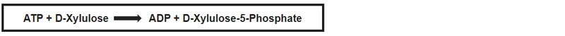 Image:P30646 reaction.png