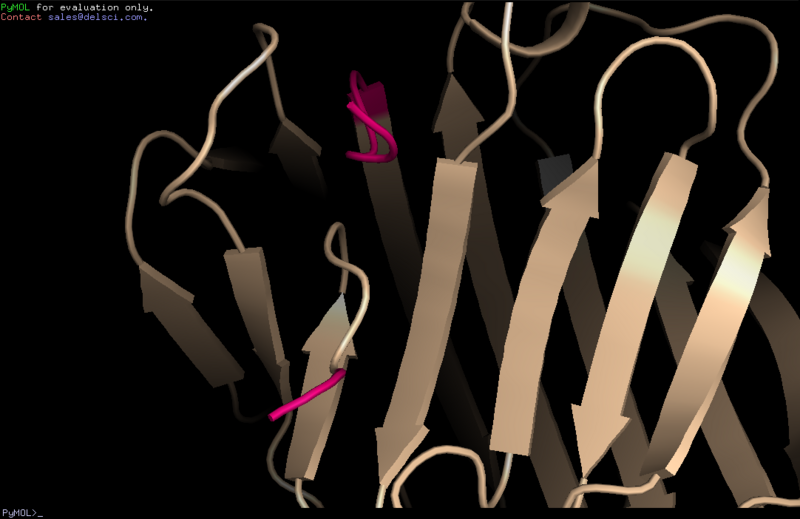 Image:Sans Ca2+.PNG