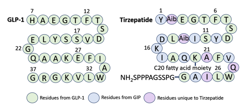 Image:Sequence Alignment Condensed2.png