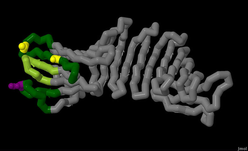 Image:Chain F final no struts.jpg