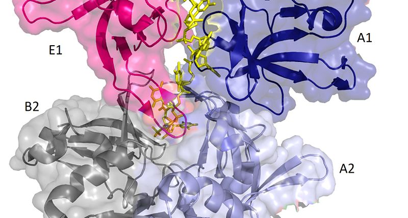 Image:DNA channel.jpg